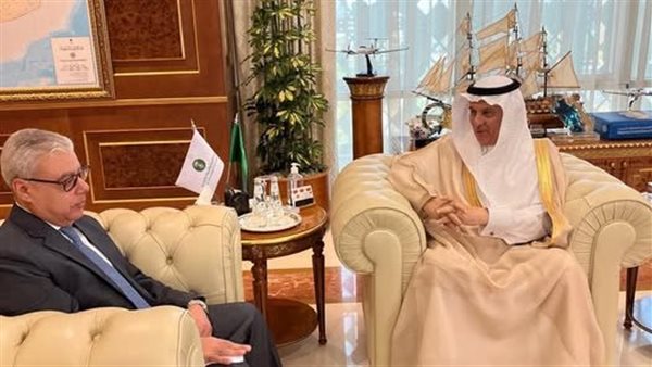 السفير المصري بالرياض