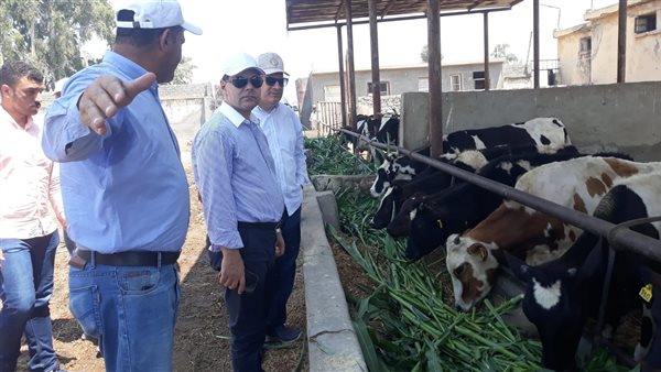 الدكتور عادل عبدالعظيم