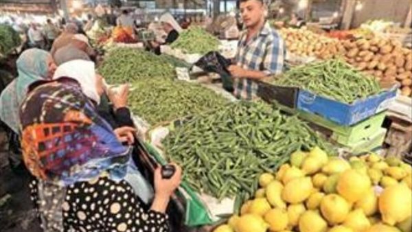 استقرار ملحوظ في