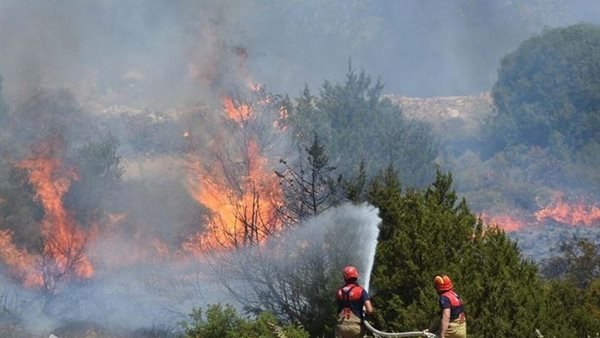 حرائق الغابات 