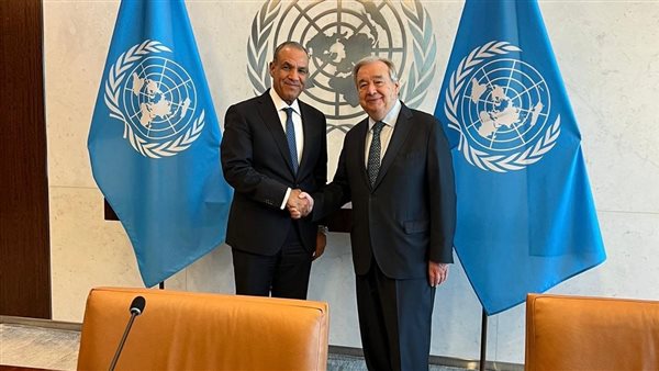 وزير الخارجية