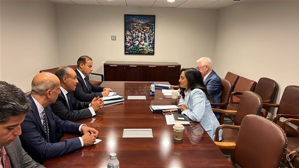 الدكتور بدر عبد العاطي