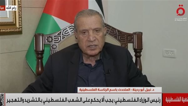 الدكتور نبيل أبو