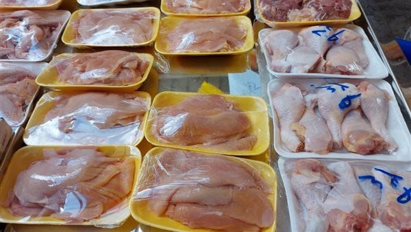  أسعار الفراخ والبانبه