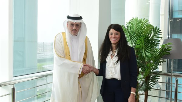 وزيرة التخطيط تستقبل