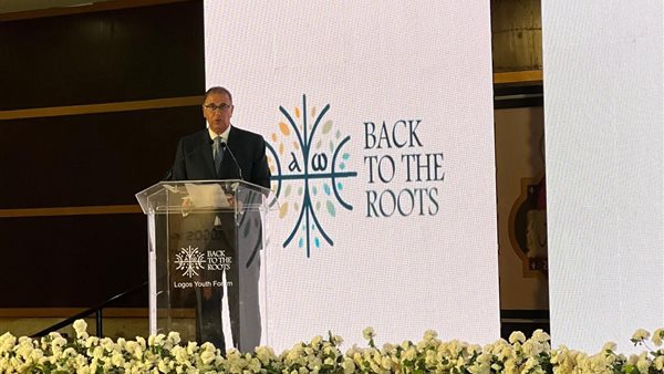 السفير نبيل حبشى