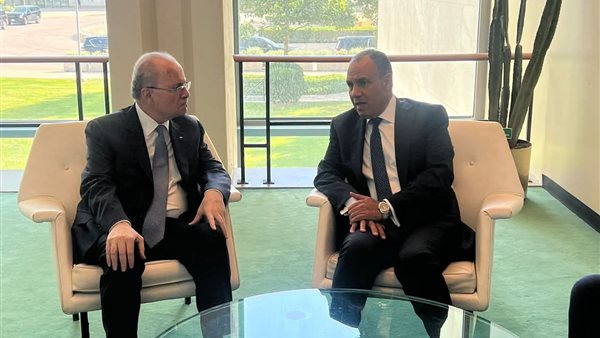 وزير الخارجية يلتقى