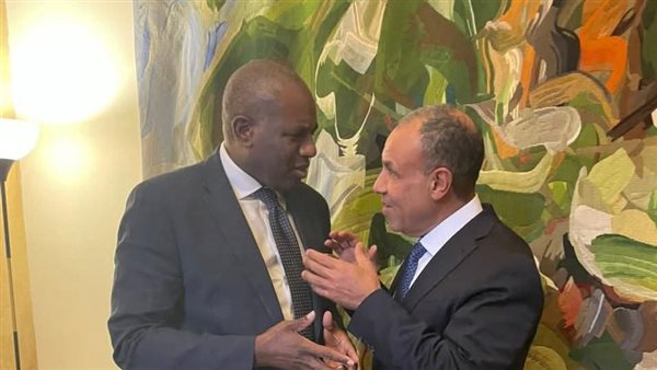 وزير الخارجية يلتقى