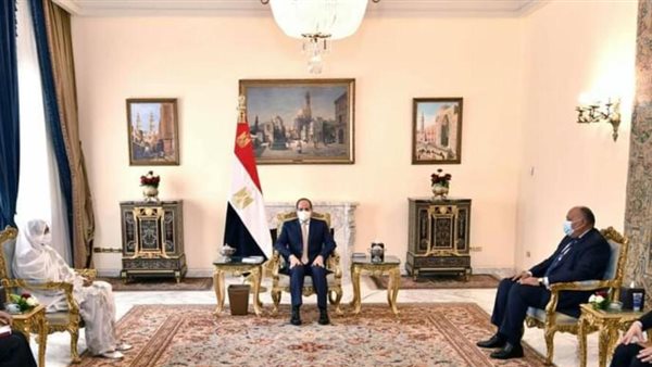 لقاء الرئيس بوزيرة