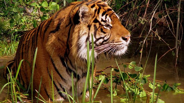 صورة أرشيفية الحياة