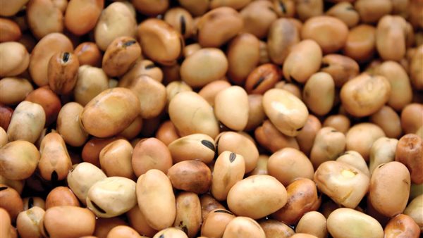 صورة أرشيفية الفول