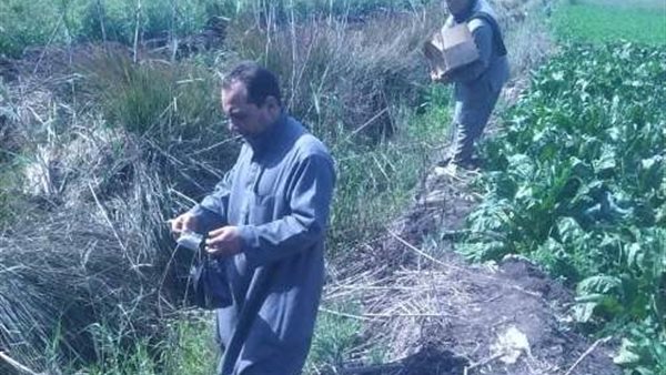 خلال الحملة القومية