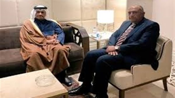 وزير الخارجية سامح