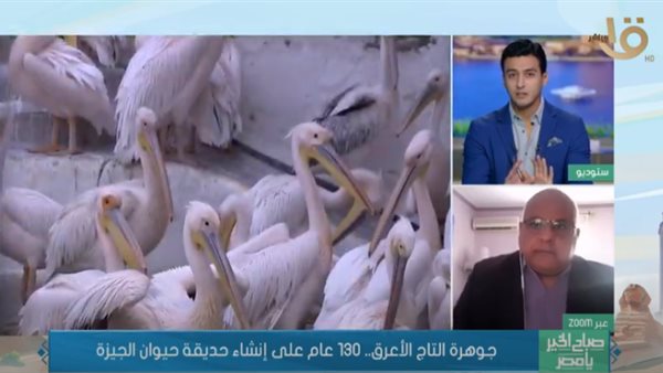 برنامج صباح الخير