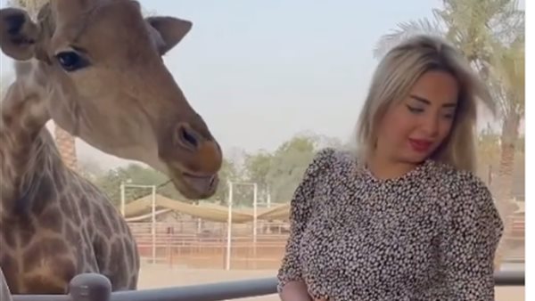 مى حلمى والزرافة