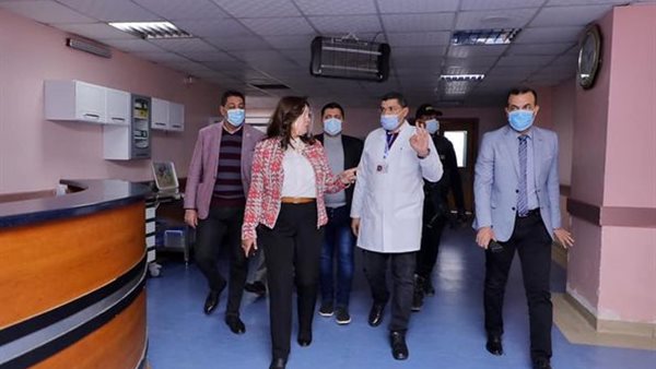 محافظ دمياط