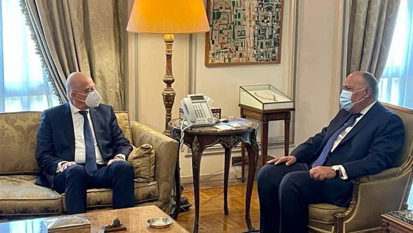 سامح شكري وزير الخارجية