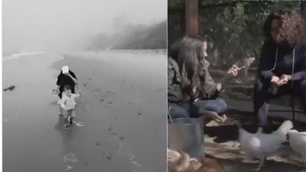 صور من داخل منزل