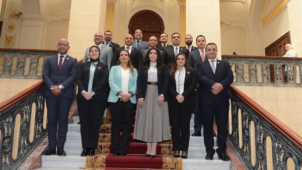 نواب تنسيقية شباب