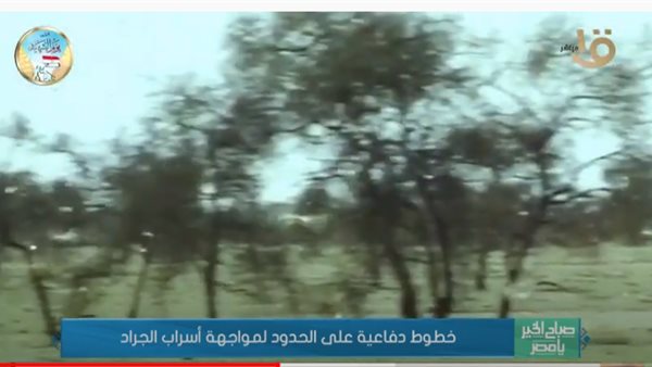 جانب من التقرير