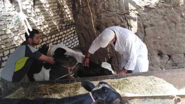 بيطرى المنوفية