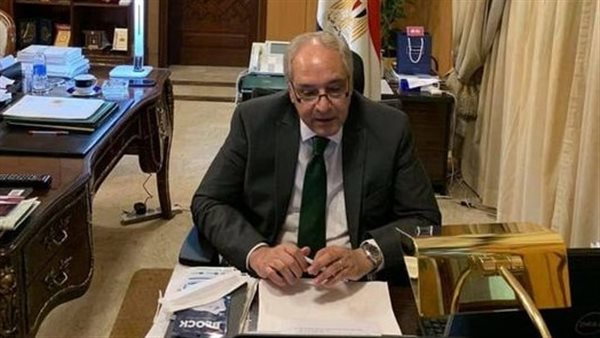 السفير أحمد فاروق