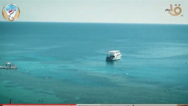 جانب من التقرير