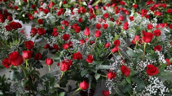 صورة ارشيفية