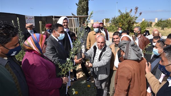 محافظ مطروح