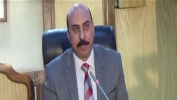 محافظ اسوان