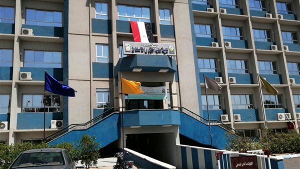 جامعة جنوب الوادى