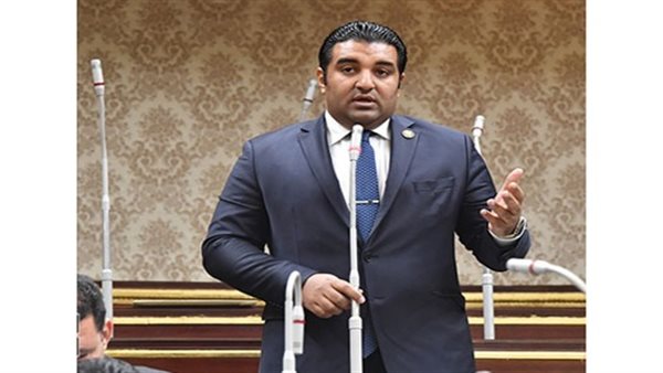 النائب محمود عصام