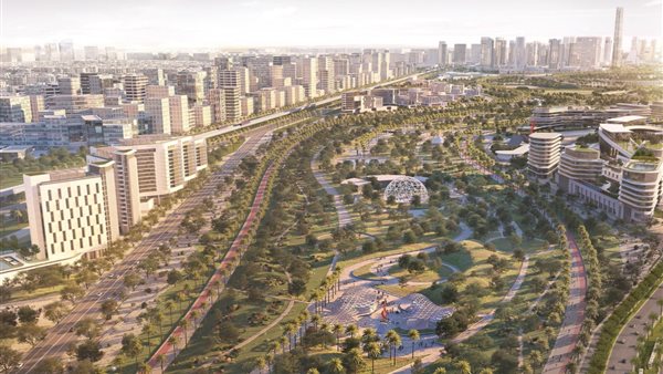 النائبة اميرة ابو