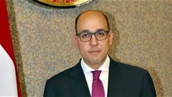 السفير احمد حافظ