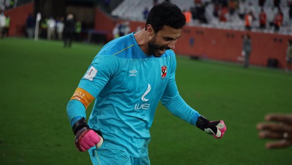 محمد الشناوي