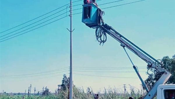 جهود الوحدة المحلية