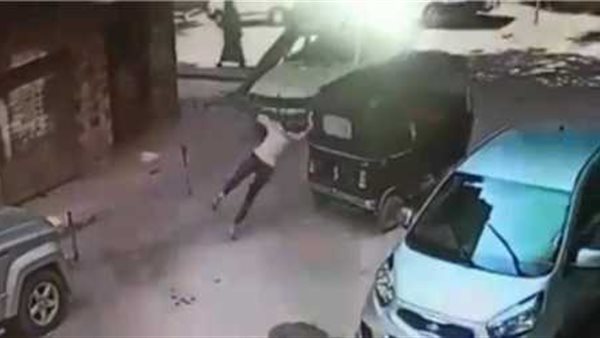 سحل سيدة البساتين