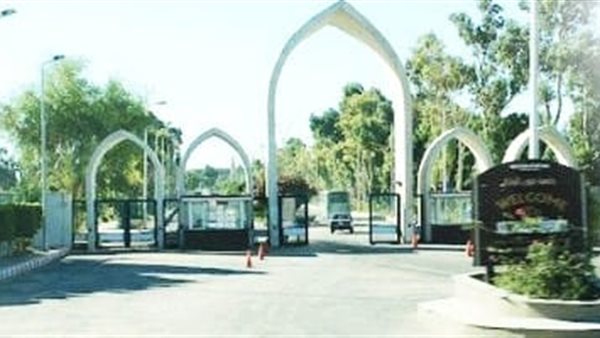 جامعة جنوب الوادي