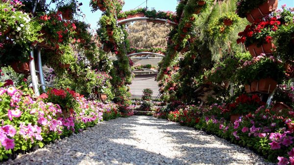 حديقة الاورمان