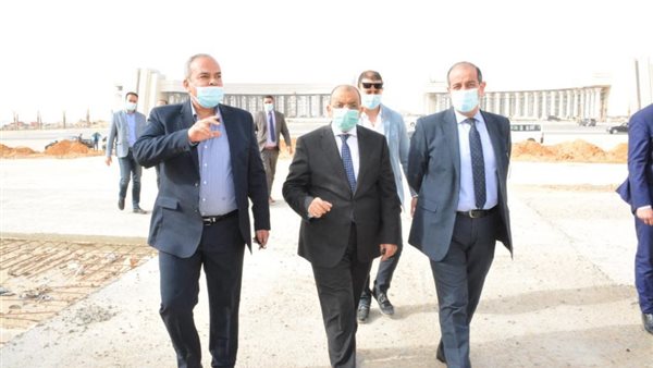 محمود شعراوى وزير