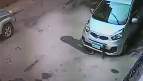 جانب من الواقعة 