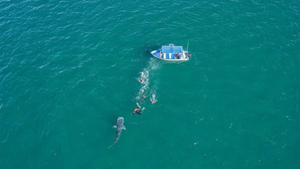 رياضة الغطس بجانب