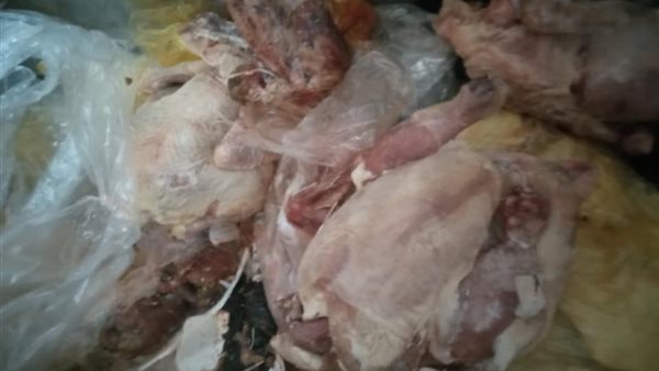 جانب من اللحوم الفاسدة