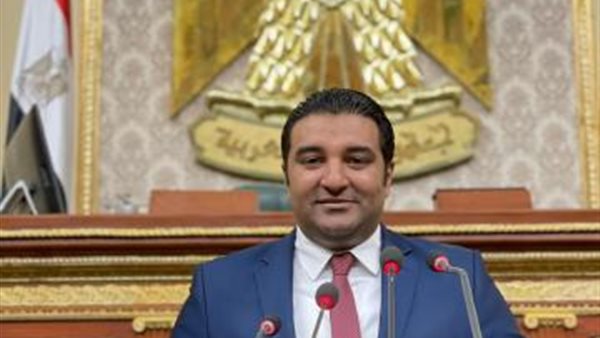 النائب محمود عصام