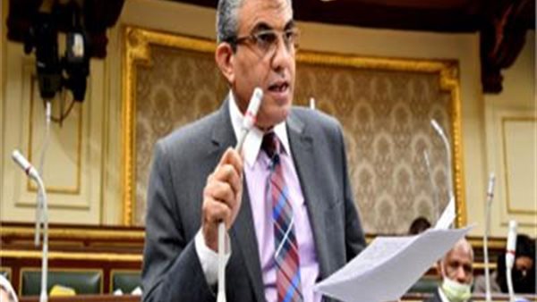 النائب عادل عبد الفضيل