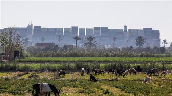 سفينة قناة السويس