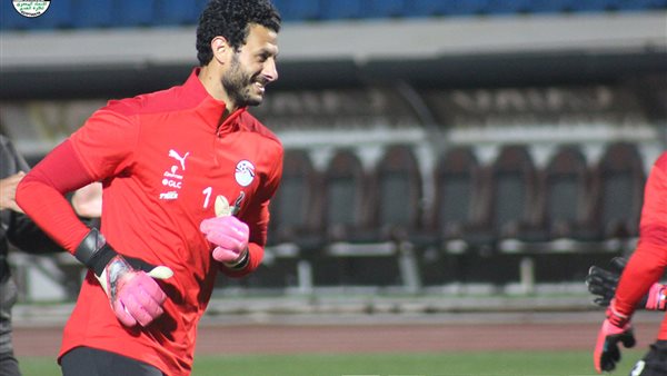 محمد الشناوي 