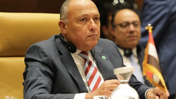 سامح شكري وزير الخارجية