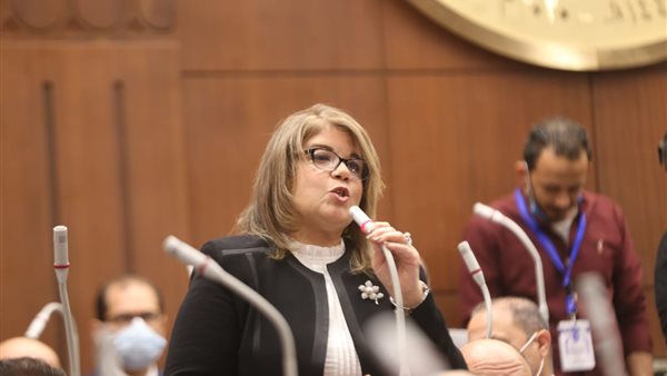 فيبي فوزي، وكيل مجلس