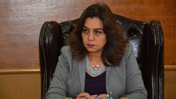 محافظ دمياط